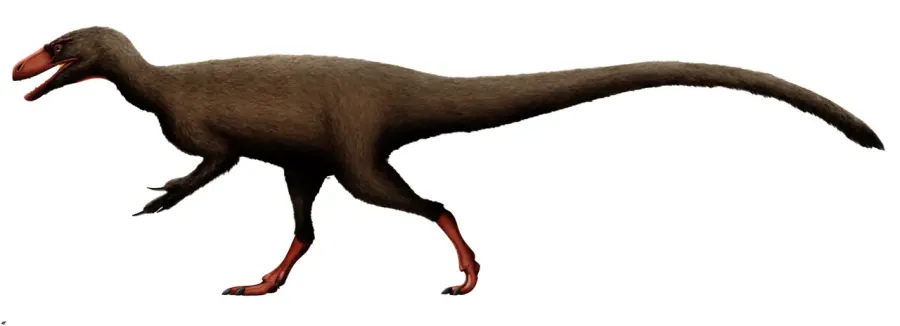 La carte Tanycolagreus