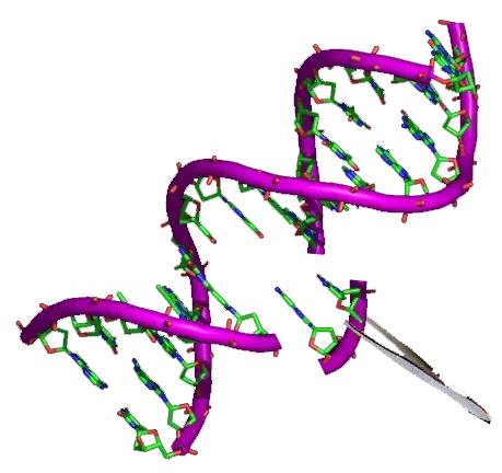 The Genetically modified organism card