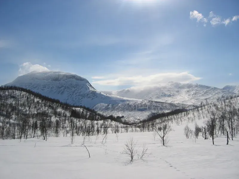 The Junkerdal National Park card