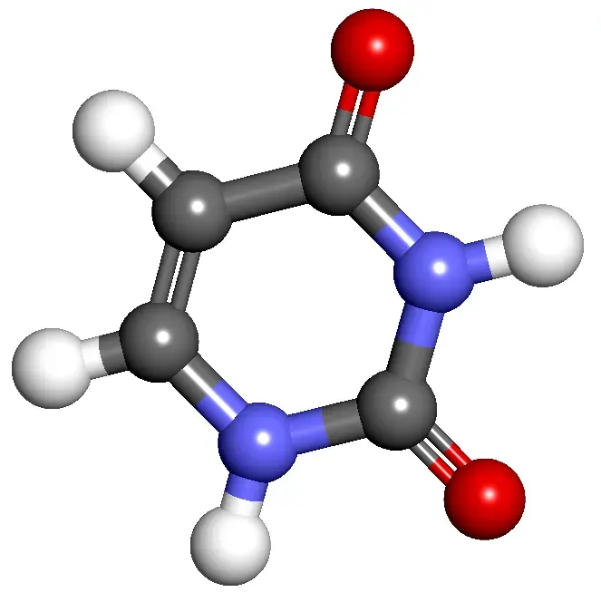 The Uracil card