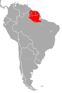 La carte Saccopteryx gymnura