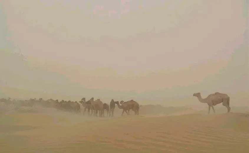La carte Nimroz