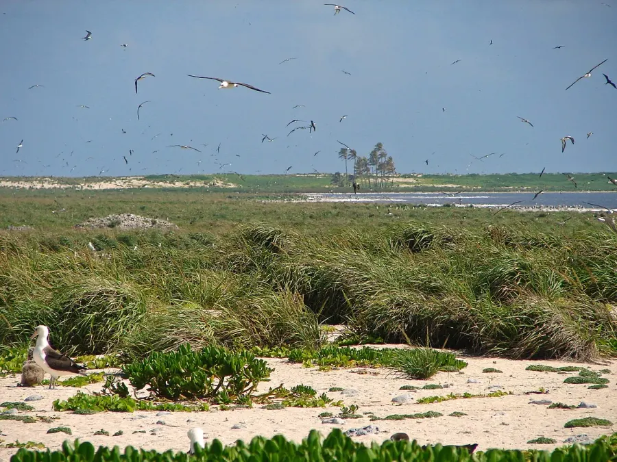 La carte Îles hawaïennes du Nord-Ouest