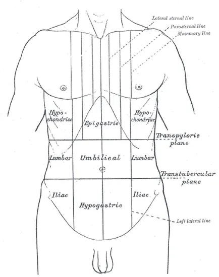 The Abdominal pain card