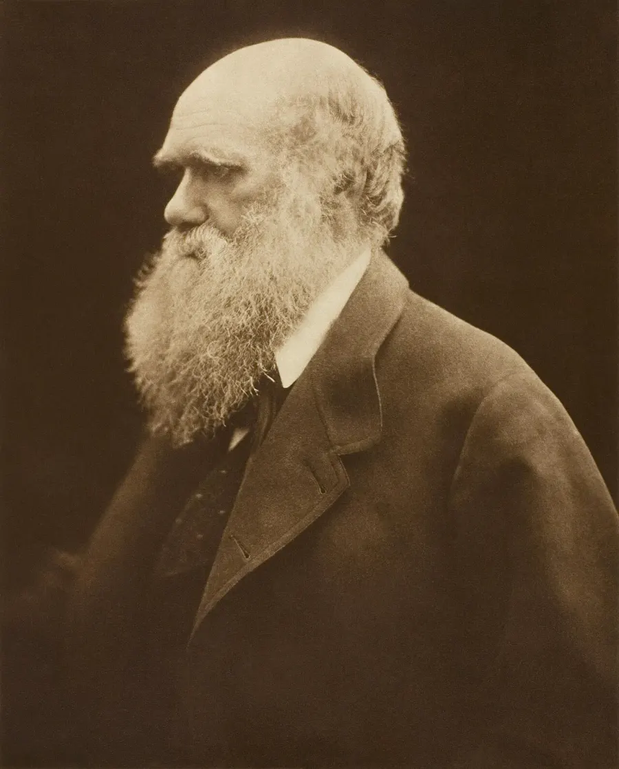 La carte Darwinisme