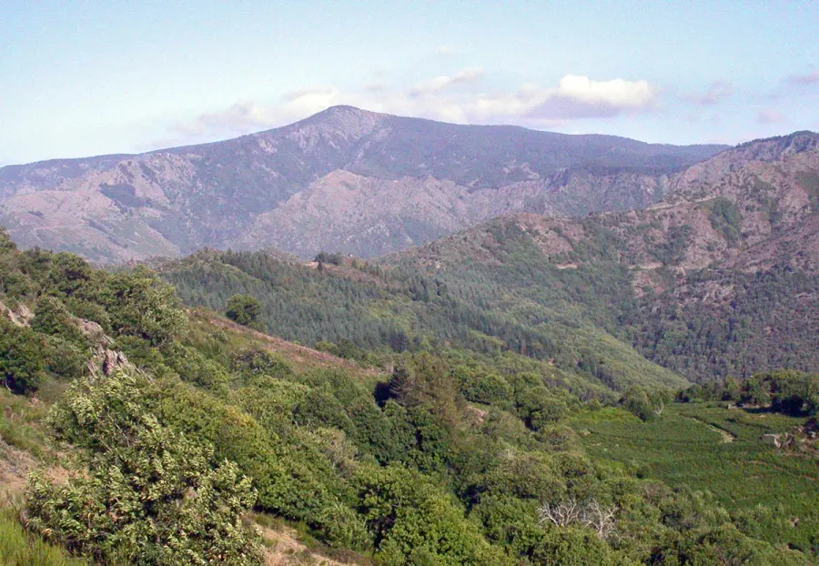 The Mont Aigoual card