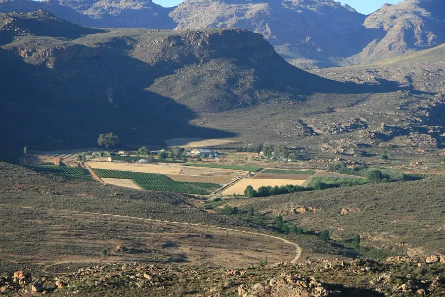 The Cederberg card