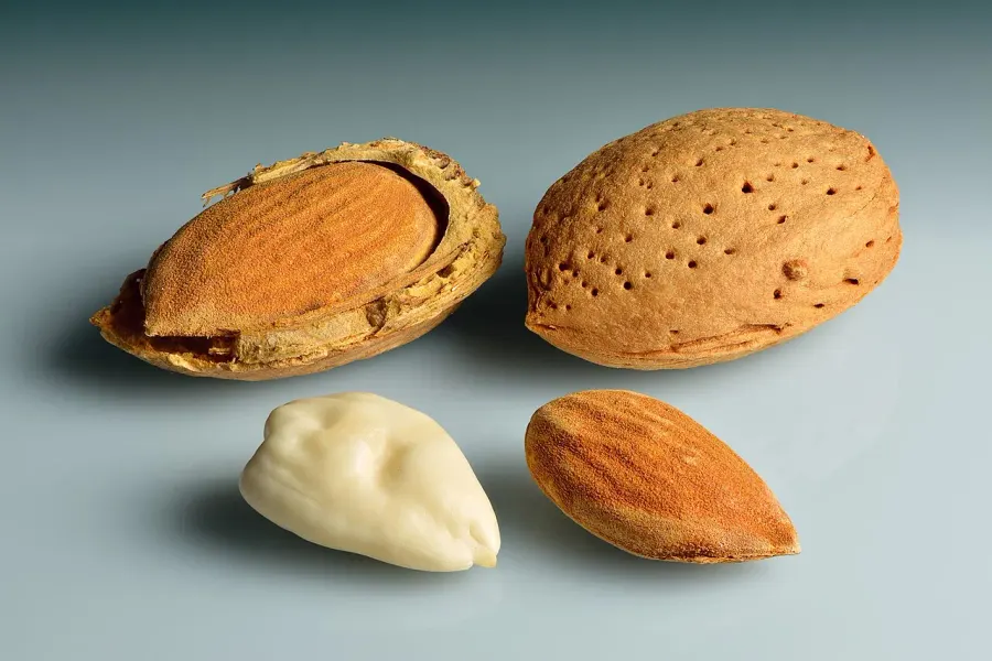 The Bitter almond card