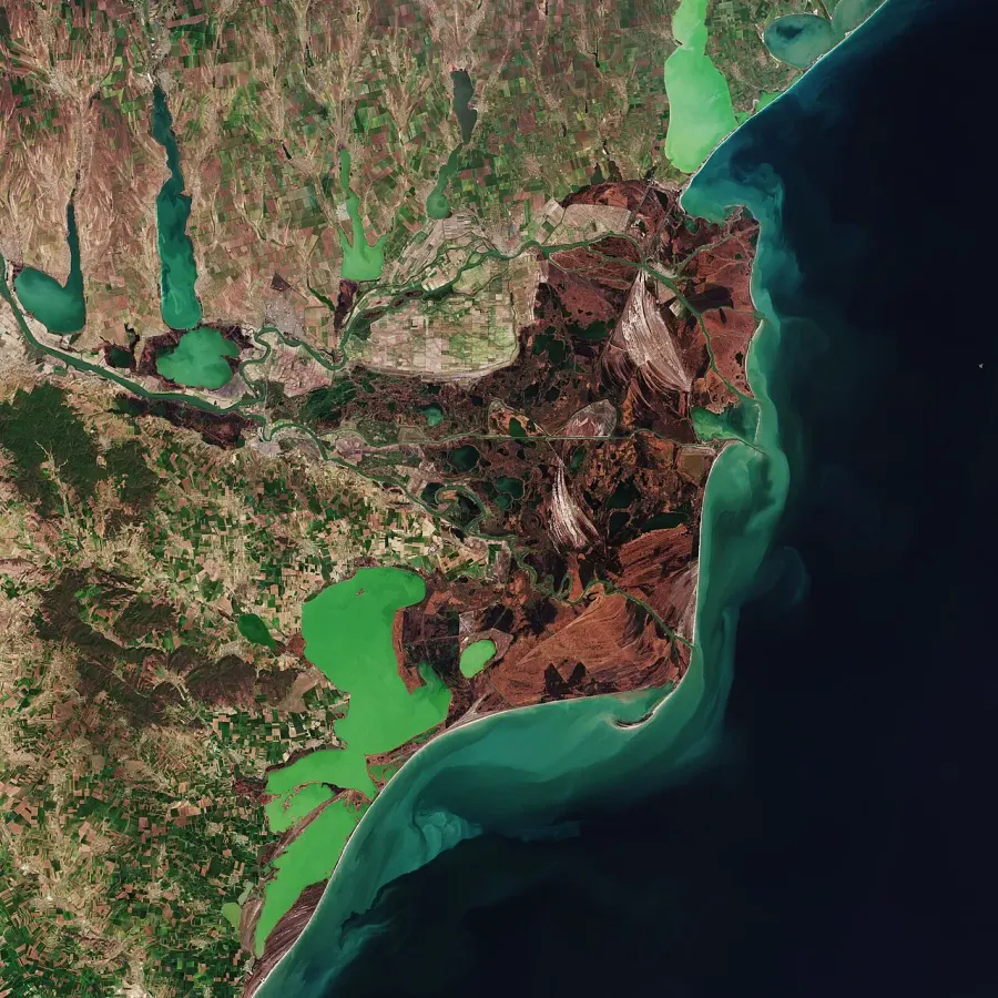 The Danube Delta card