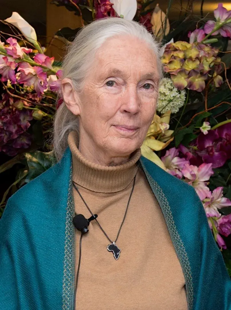 La carte Jane Goodall