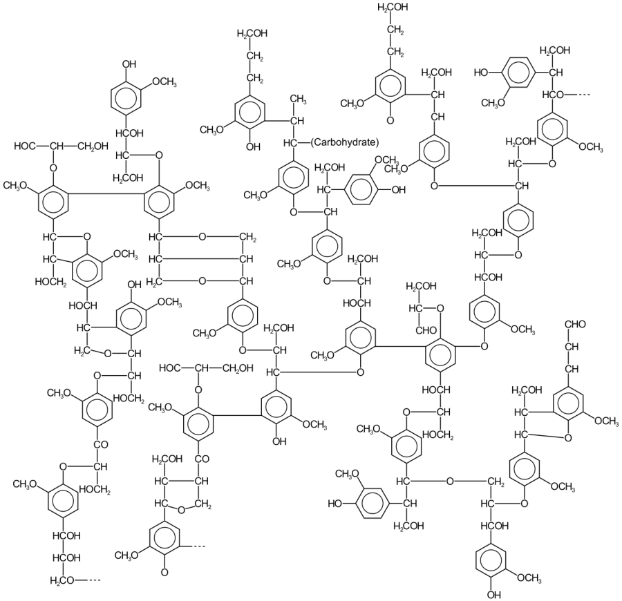 The Lignin card