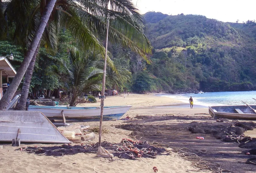 The Tobago card