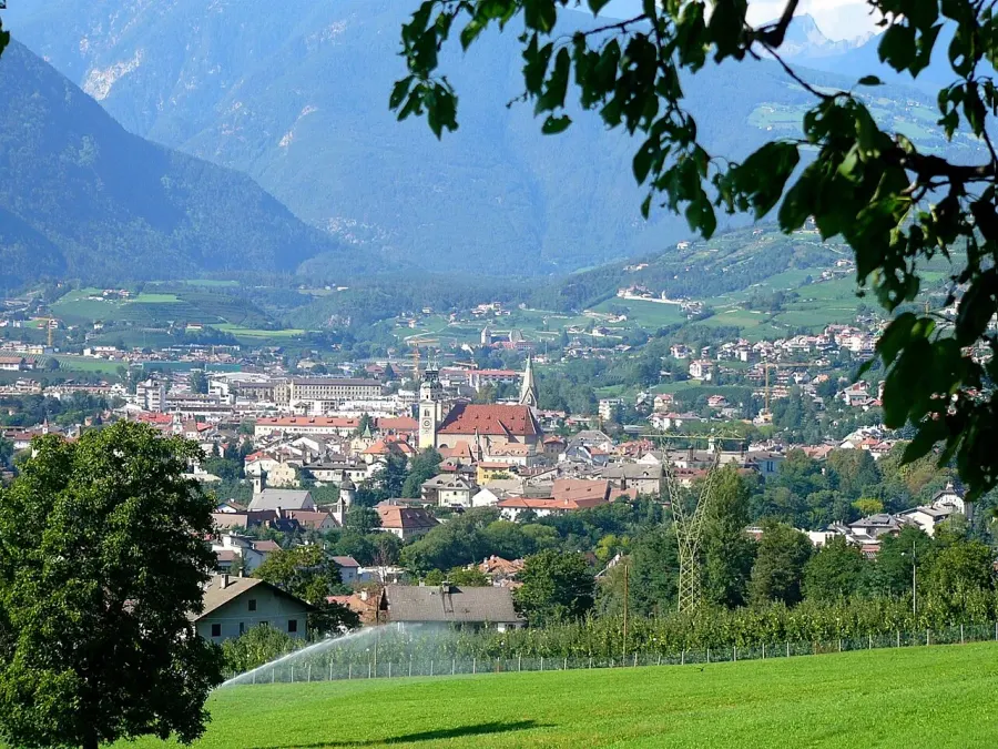 The Brixen card