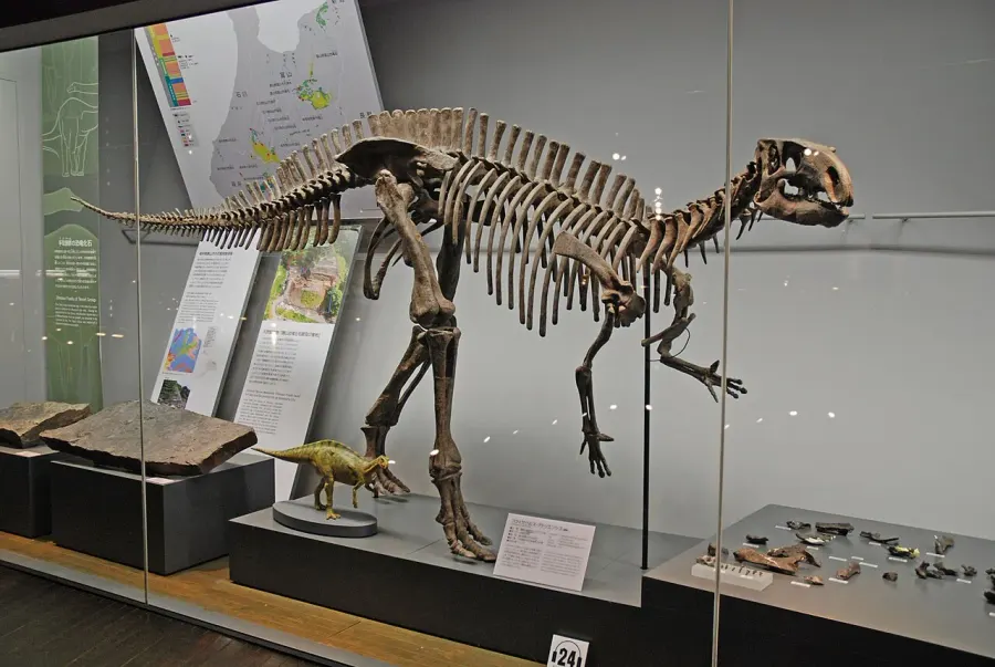 La carte Fukuisaurus
