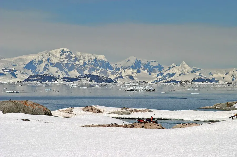 The Antarctic Peninsula card