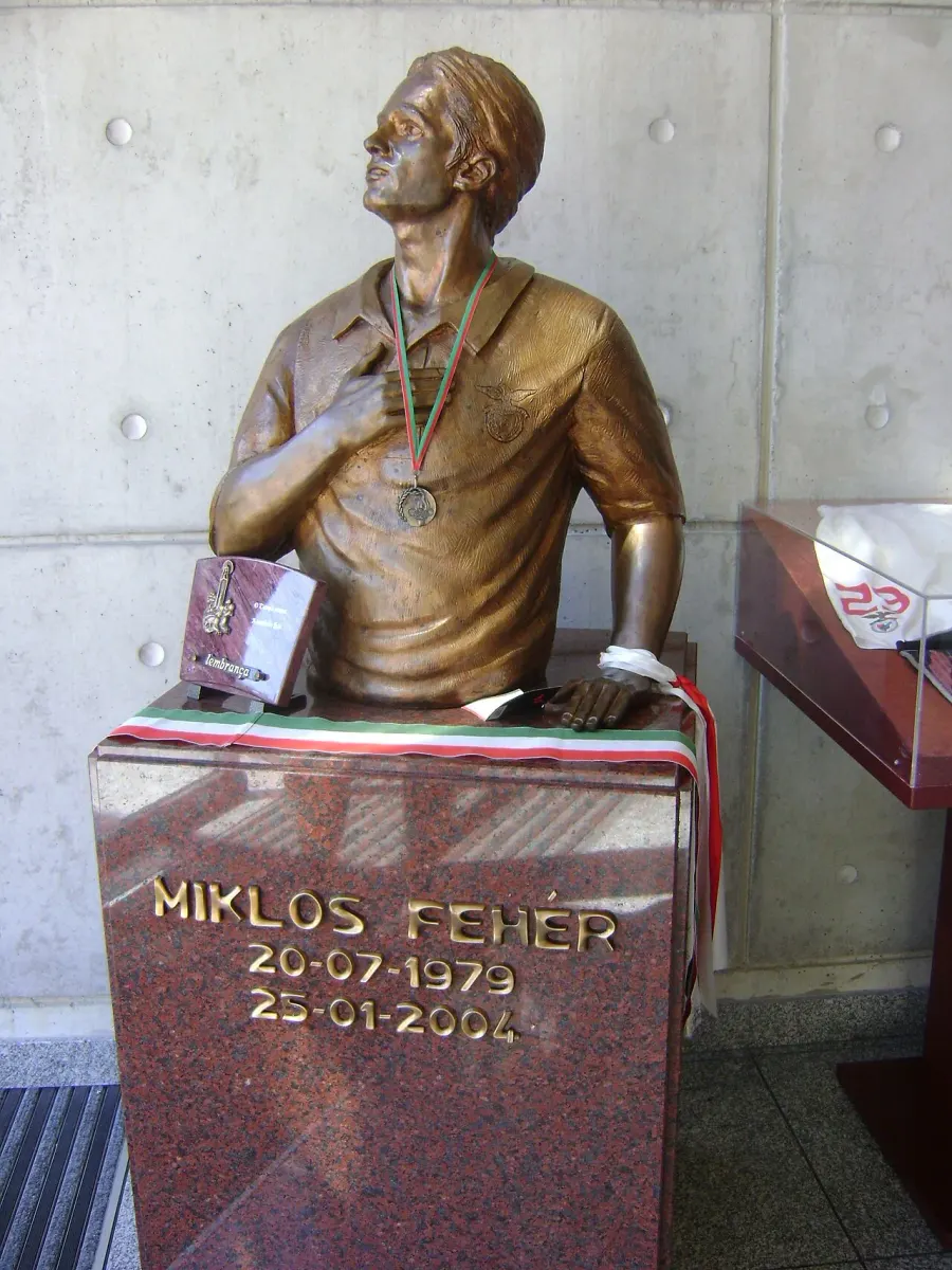 The Miklós Fehér card