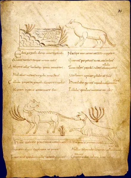 La carte Avianus