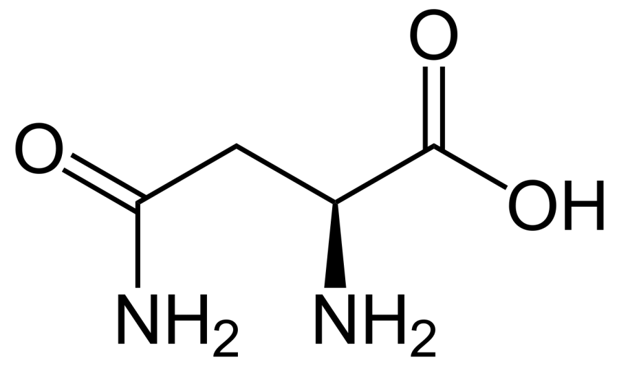 La carte Asparagine