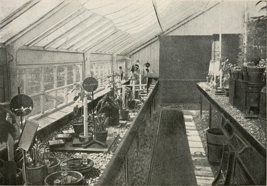 La carte Physiologie végétale