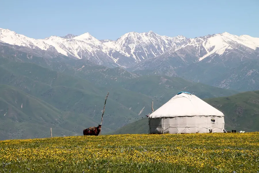 The Almaty Region card