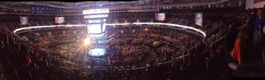 La carte Ultimate Fighting Championship