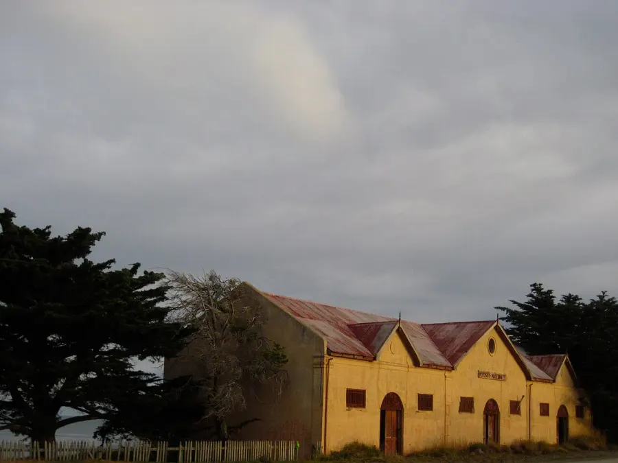 The San Gregorio, Chile card