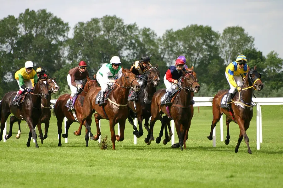 The Horse racing card