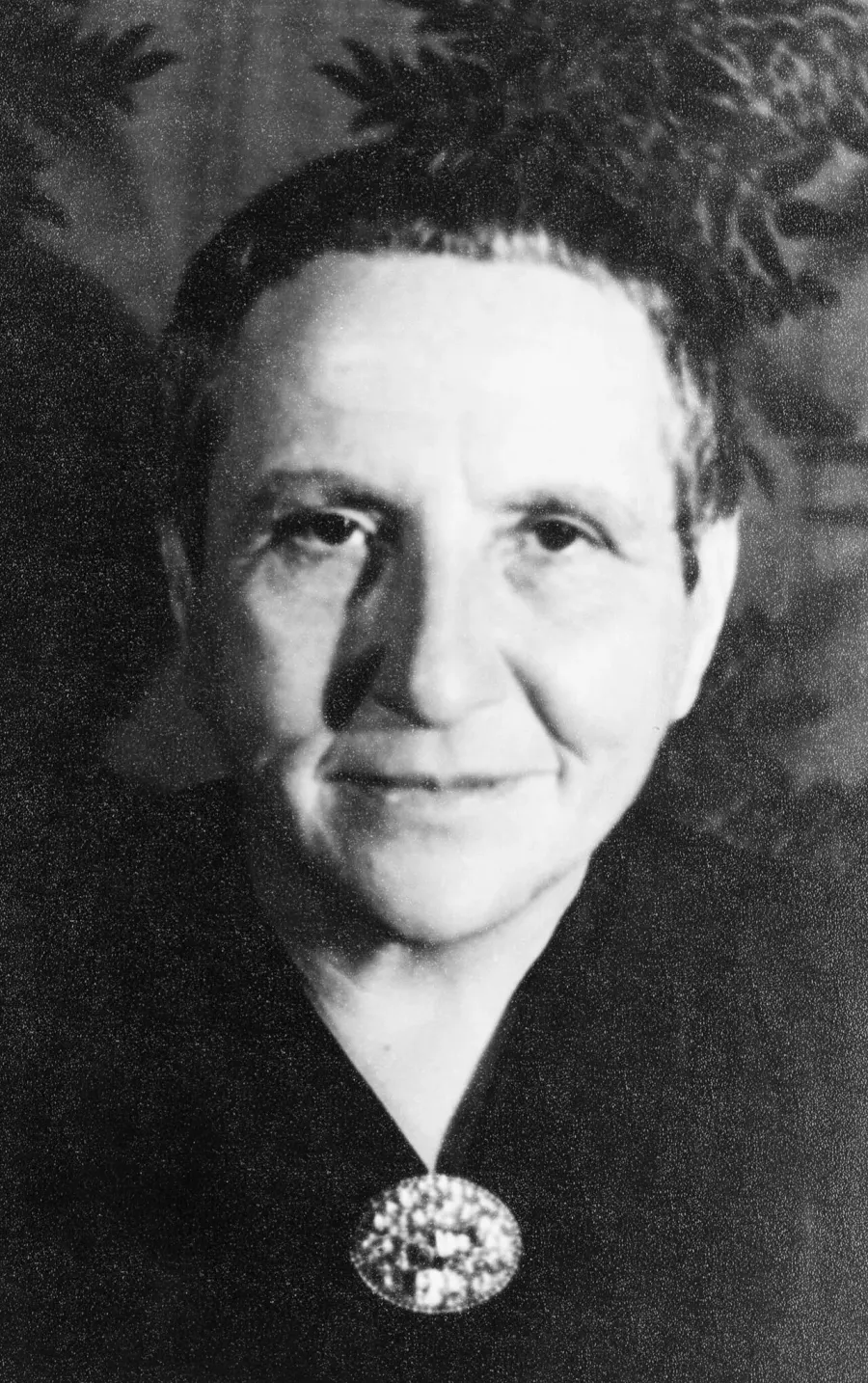 La carte Gertrude Stein