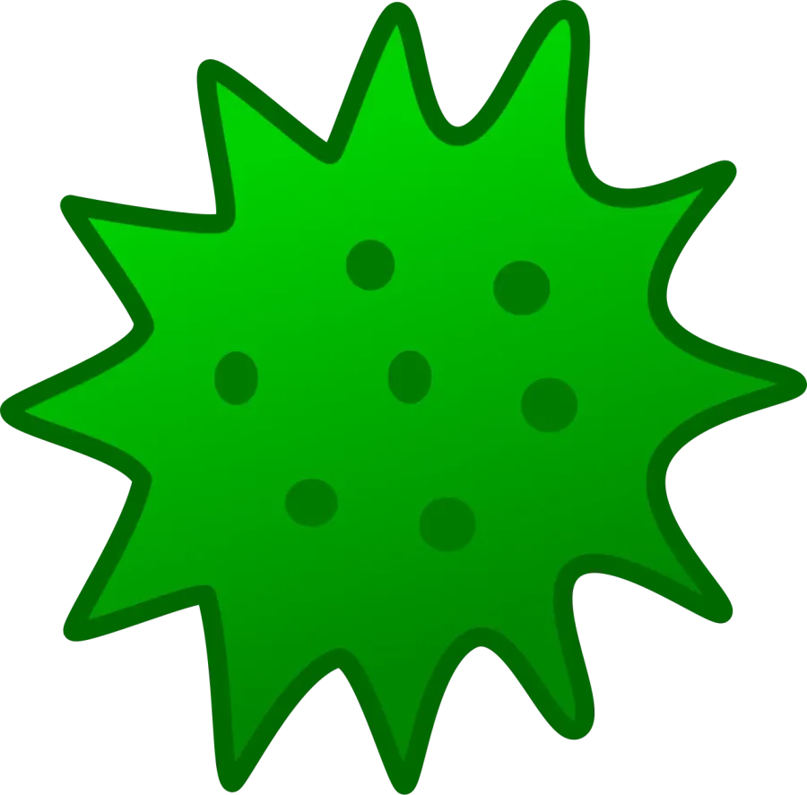 La carte Phycologie