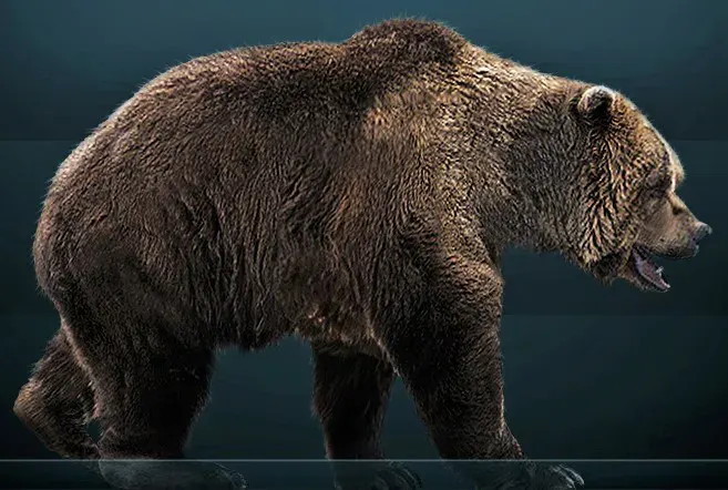 The Cave bear card