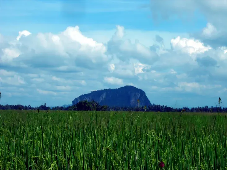 The Kedah card