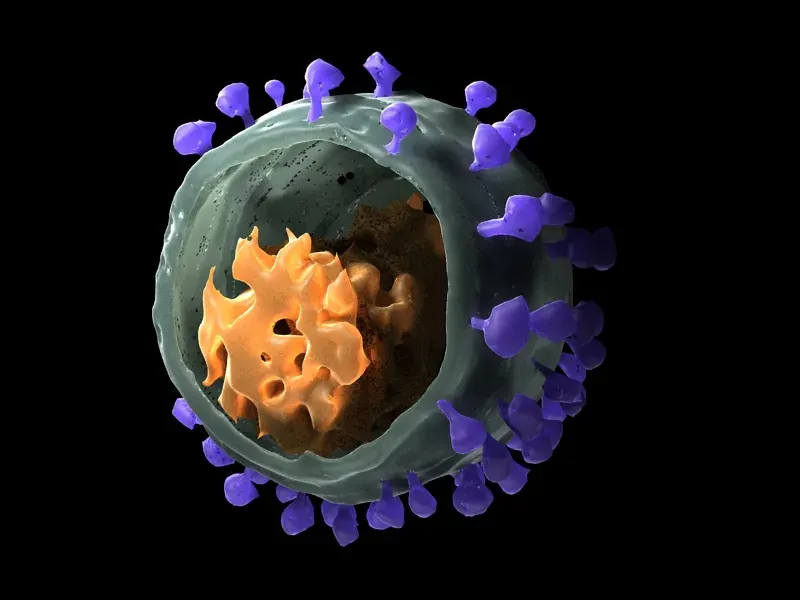 The Simian immunodeficiency virus card