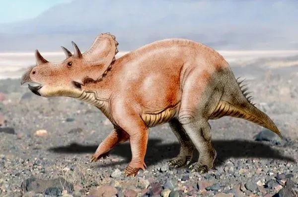 La carte Tatankaceratops