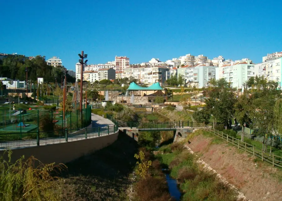 The Amadora card