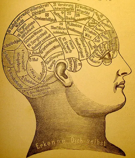 La carte Intuition