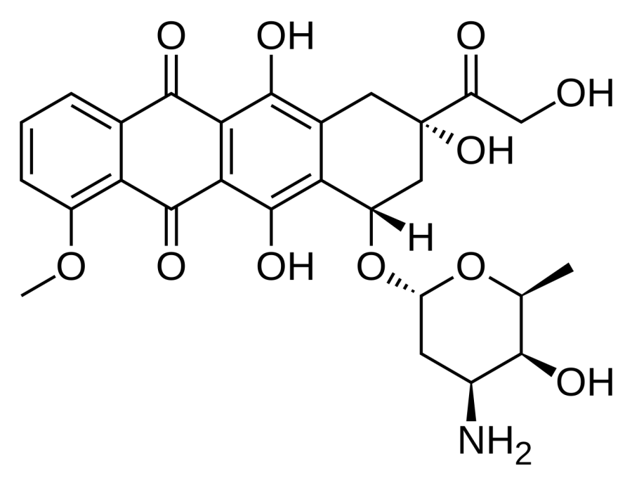 The Doxorubicin card