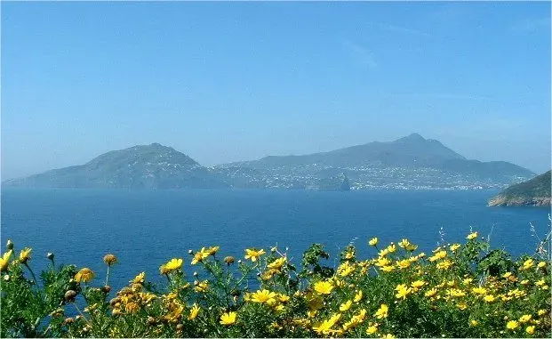 The Ischia card