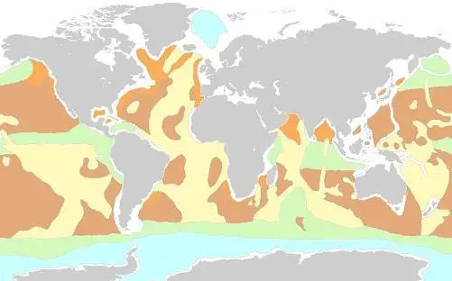 La carte Sédimentation marine