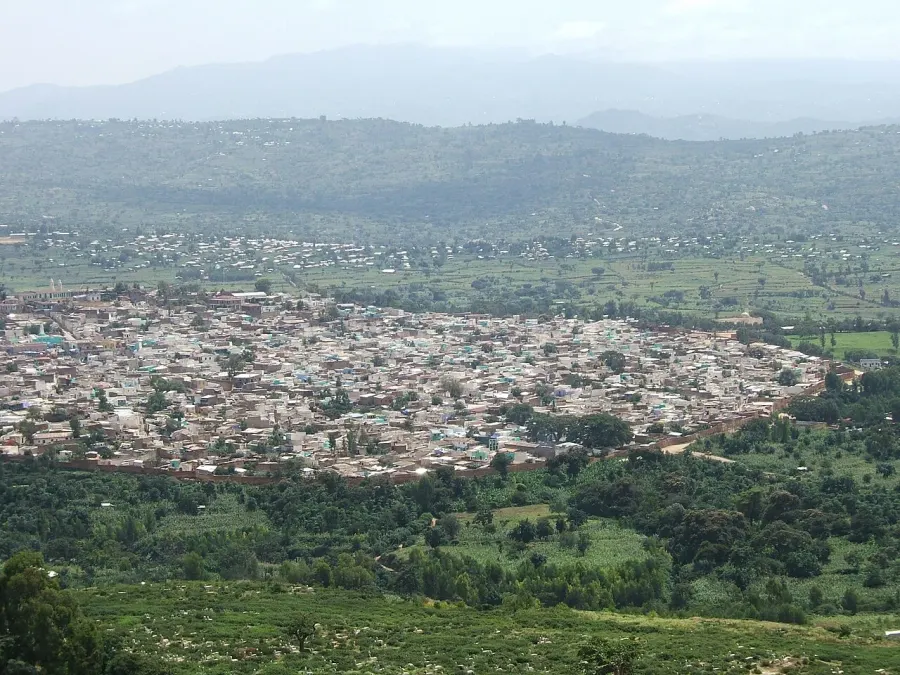 The Harar card