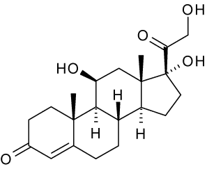 The Cortisol card
