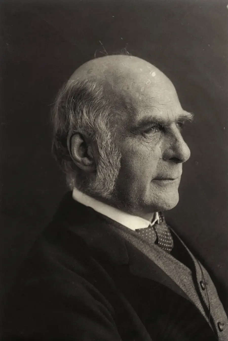 La carte Francis Galton