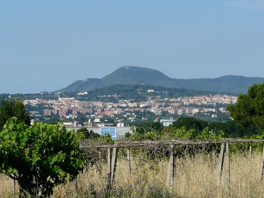 La carte Albano Laziale