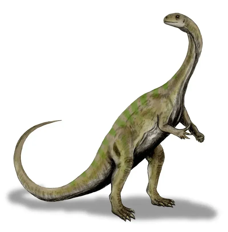 La carte Massospondylus