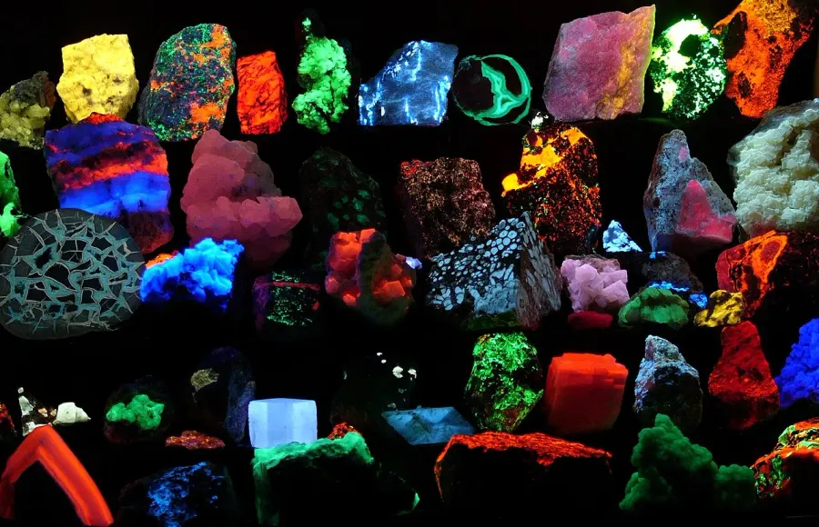 La carte Fluorescence