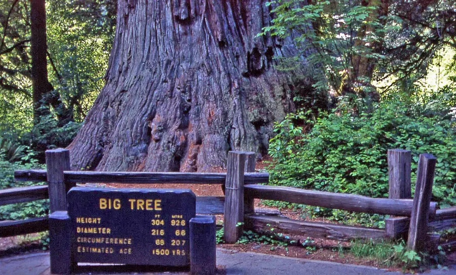 La carte Parc national de Redwood
