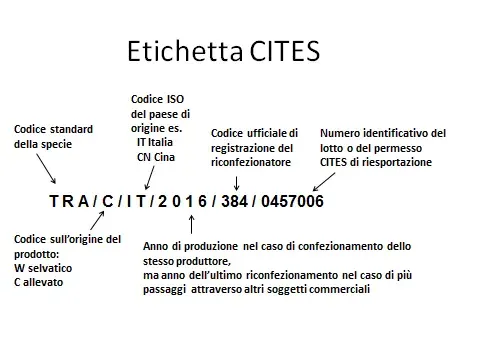 The CITES card