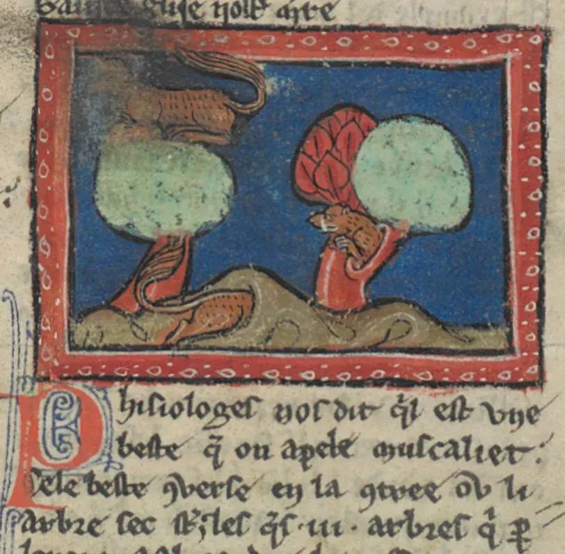 La carte Muscaliet