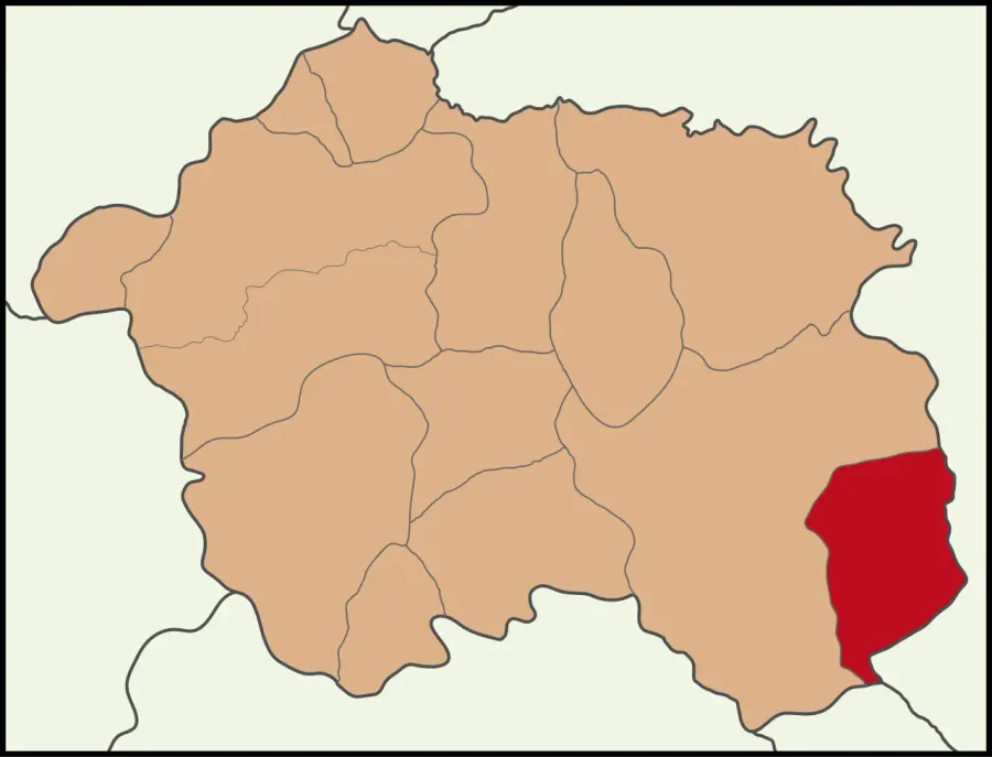 The Günyüzü card