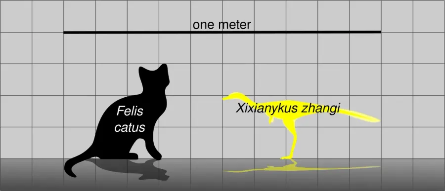 The Xixianykus card