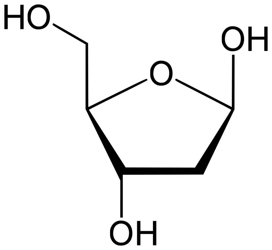 La carte Désoxyribose